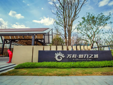 万科魅力之城